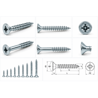 SURUB PAL 2,5* 16/PZ1 CI ZA  _020025016